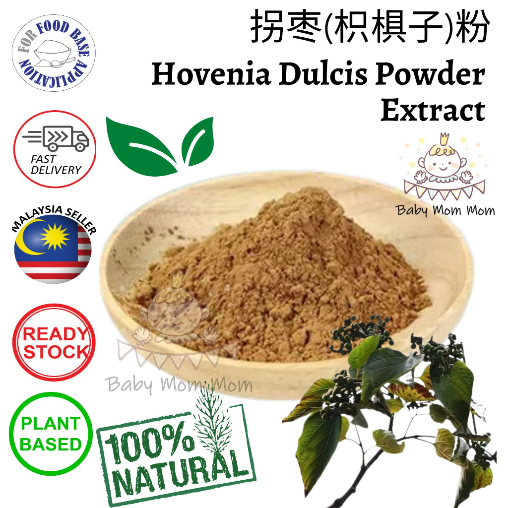 Hovenia Dulcis Extract Powder / Japanese Raisin Powder Extract 拐枣 枳椇粉 - Treat Hangover