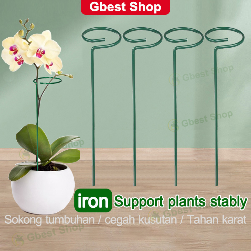 Metal Flower Stand Plant Climbing Pole Support Bonsai Stake Backyard Garden Decoration Ring Tool Pot Stick Bunga Stand