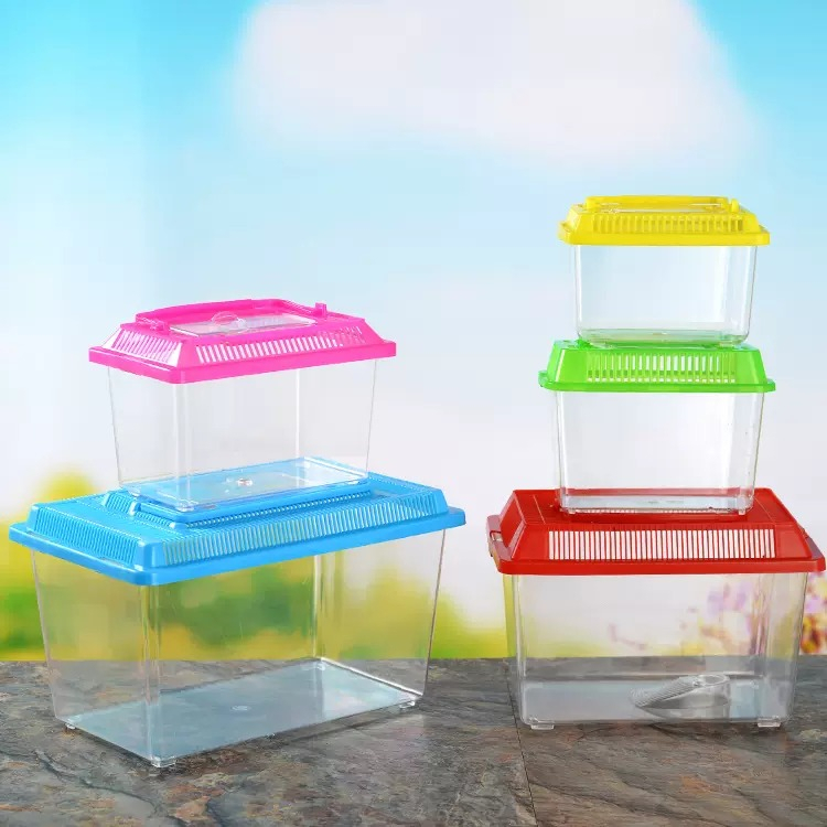 Portable Plastic Fish Tank Aquarium Betta Guppy Turtle Bekas Ikan Akuarium Kura Kura Small Medium Large (7 Size)