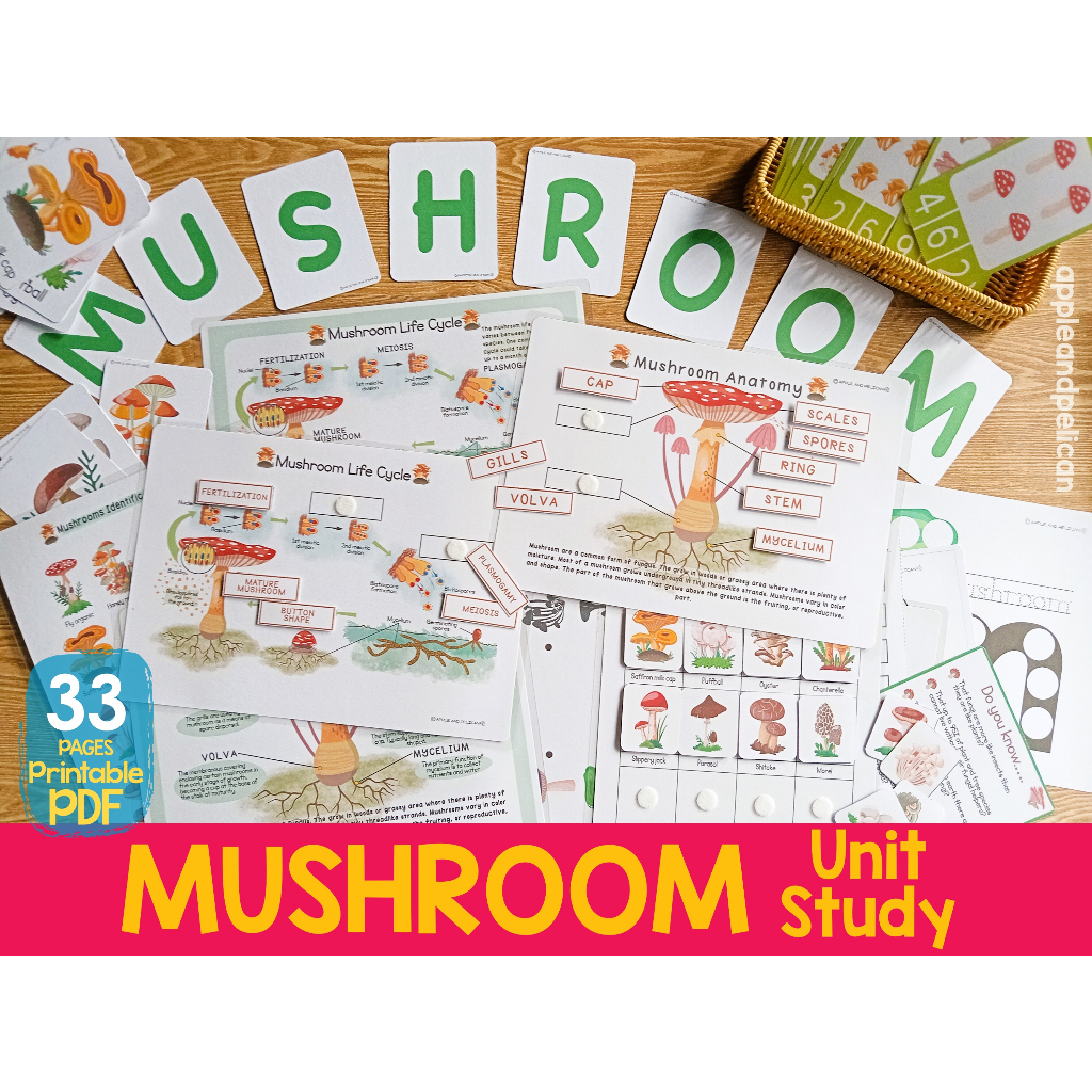 [SOFTCOPY] Mushroom Unit Study, Life Cycle, Anatomy, Preschool Science Learning Material, Preschool Curriculum