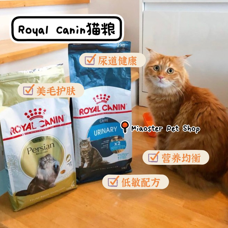 [FREE GIFT] ROYAL CANIN Cat Dry Food | Makanan Kucing