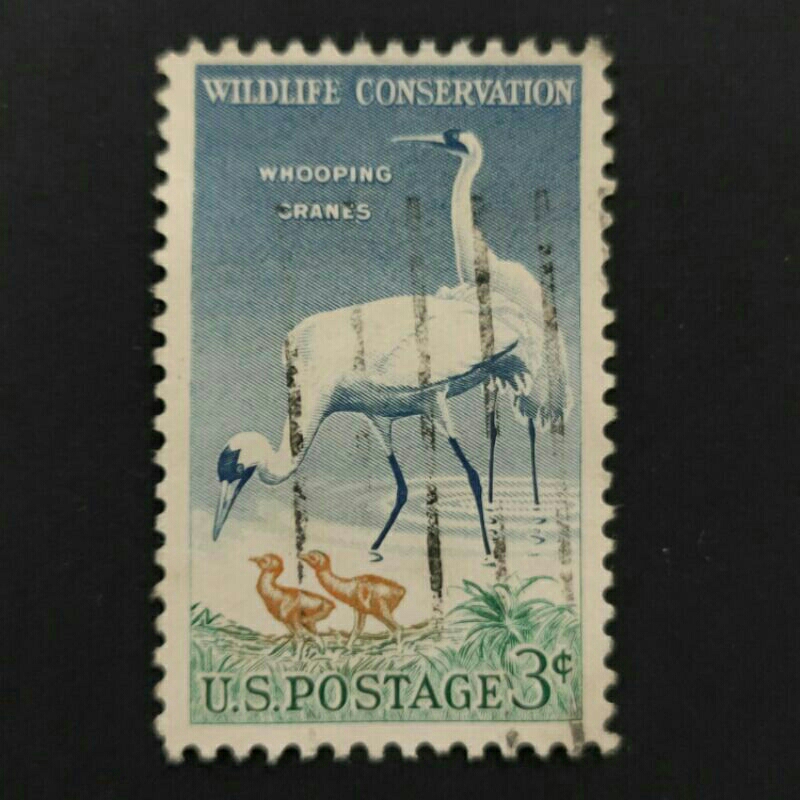 1957 Stamp USA-Complete Used Stamp-Wildlife Conservation-A Whooping Crane