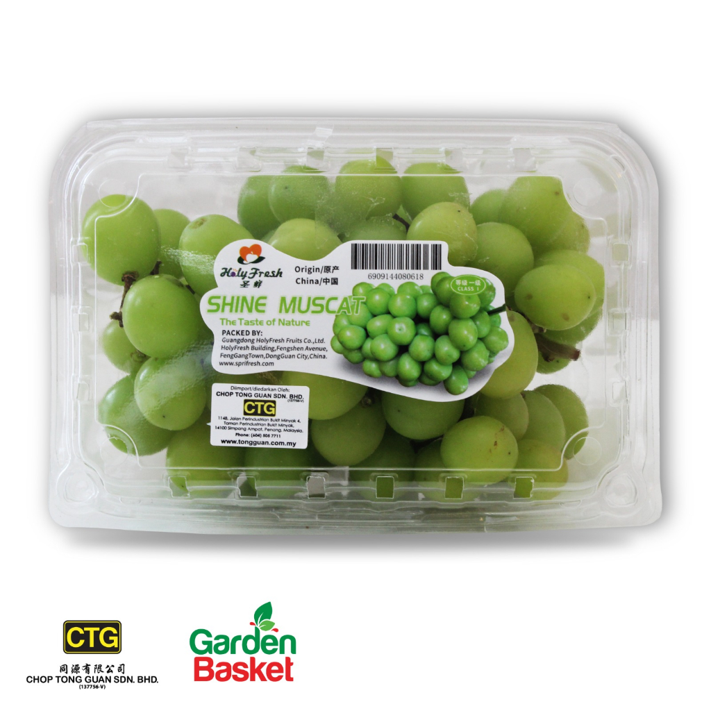 CTG China Shine Muscat Green Grape 500G- [Seedless Green Grape] [Sweet] [Healthy snacking & salad] - [Garden Basket]