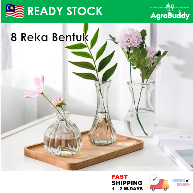 AgroBuddy Nordic Transparent Glass Vase Dry Vase / Pasu Kaca Bunga Lut Sinar 多形透明玻璃花瓶