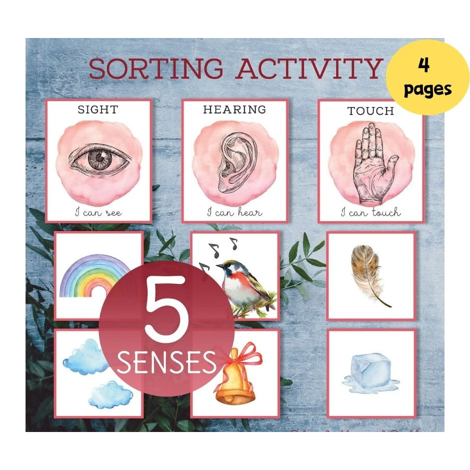 A243 – [PDF] Five senses sorting activity Busy Book 4 pages