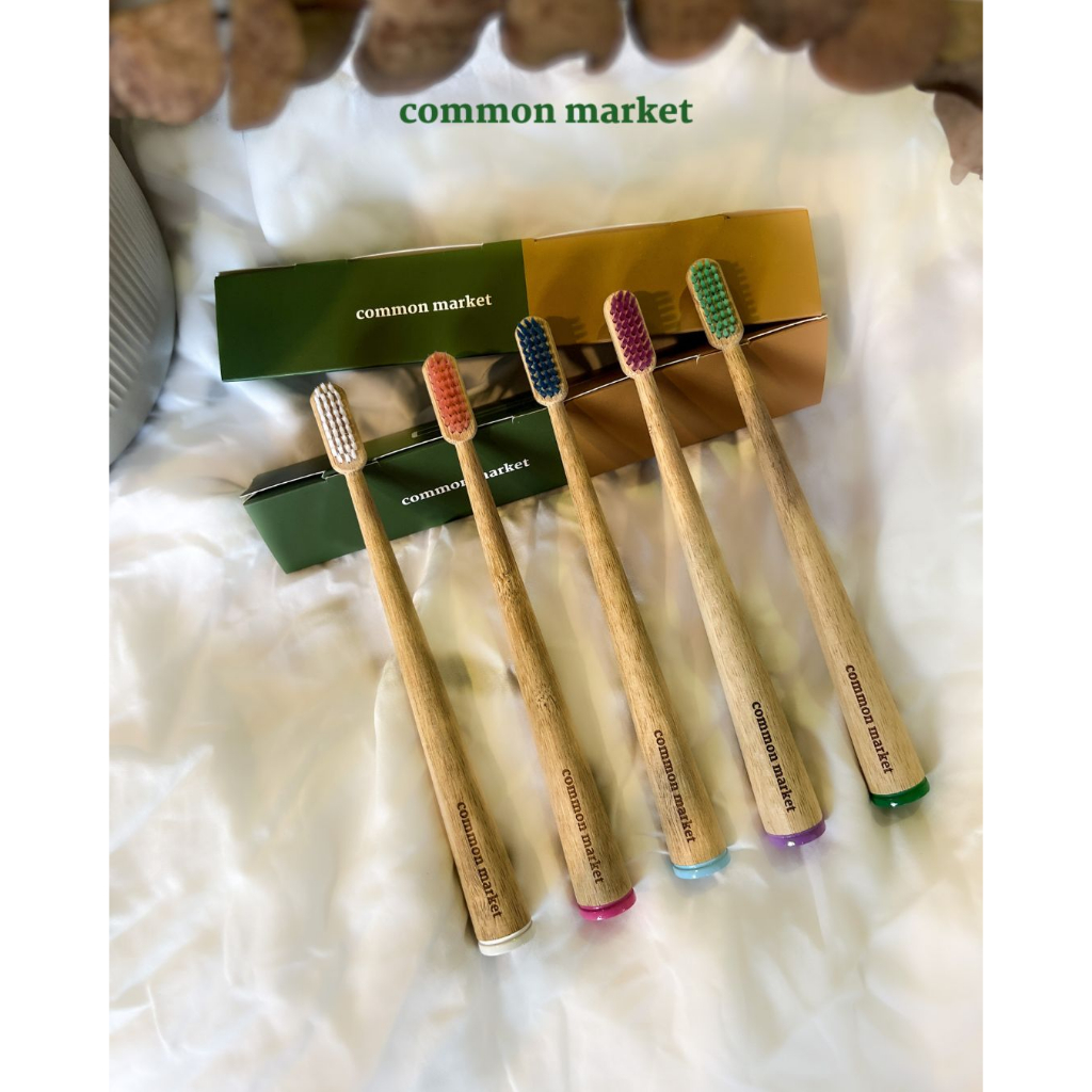 New & Improved Eco-Friendly Standing Bamboo Toothbrush (Adult)