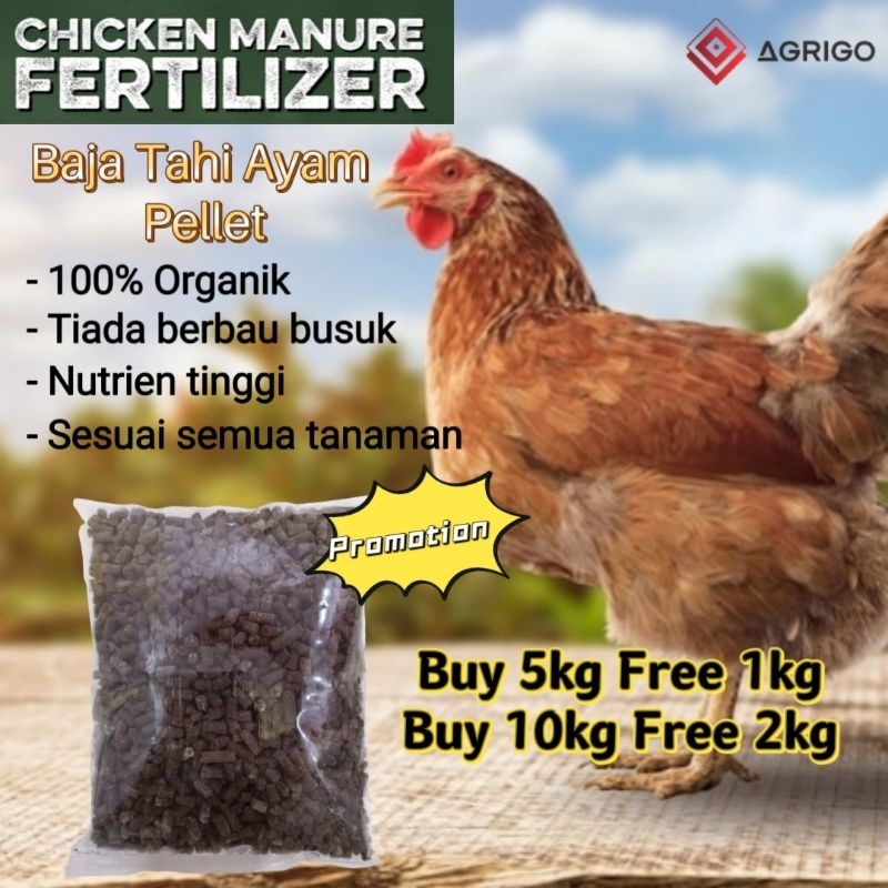 1KG Baja Organik Tahi Ayam Proses / Organic Fertilizer Chicken Manure / 有机鸡粪肥