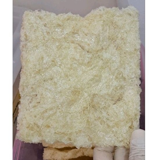 Bird Nest(Biscuit Cut)