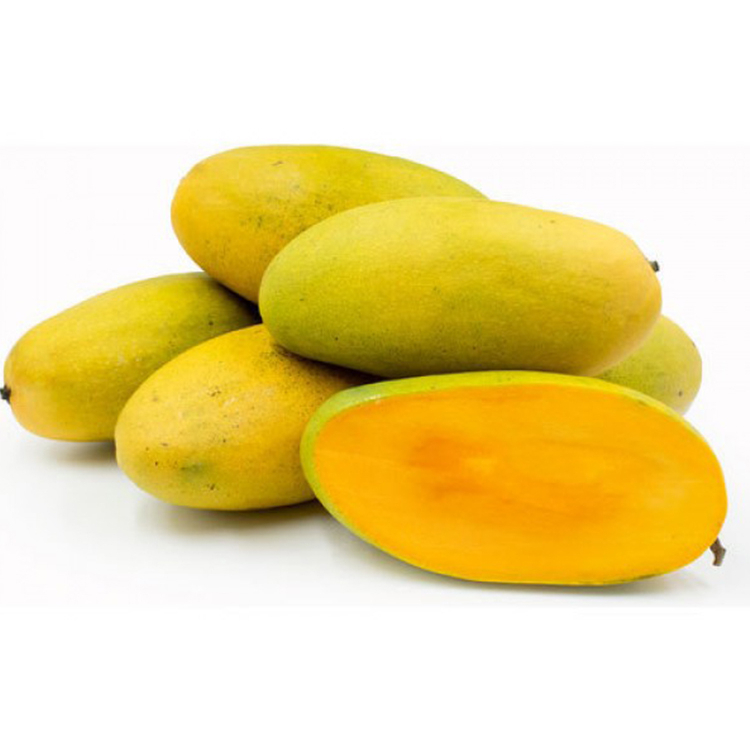 Pakistan Fresh Sweet Langra Mango لنگڑا Premium Quality 5kg+- Gift Box