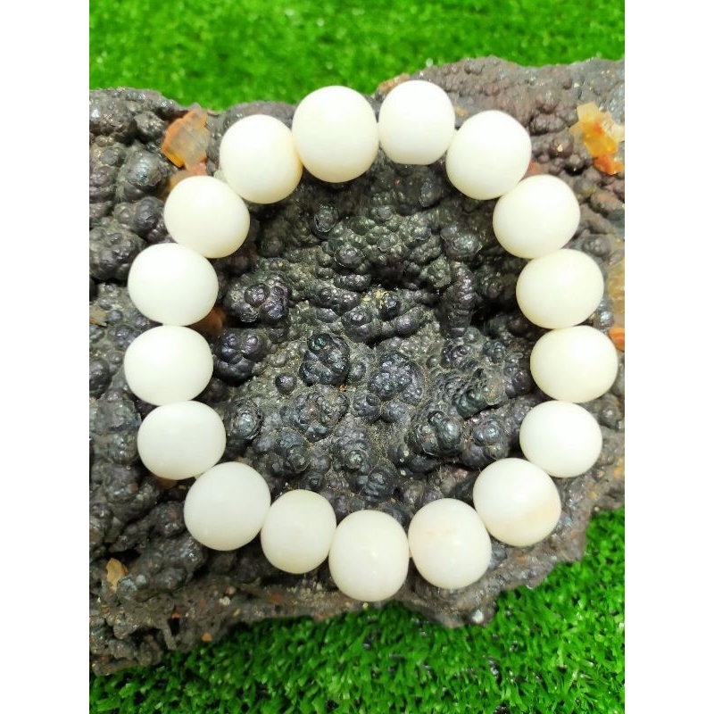 龙宫舍利化石手串 Energy holy relics stone bracelet ✦Year : 2566✦原料：泰国华兴府：千百峰，龙宫舍利化石。Samroiyod relics stone