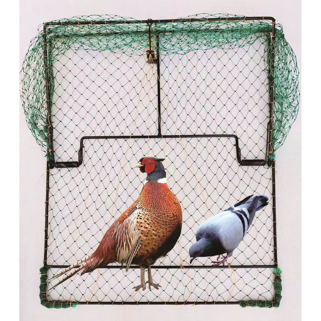 Chicken Traps, Bird Traps, Trapping Hunting Quail Cage Sparrow Spring Starling Catching Net Traps for Trapping