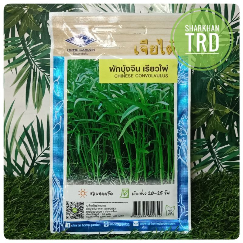 Paket 20g (420 Biji) KANGKUNG CHINESE CONVOLVULUS Chia Tai Home Garden Biji Benih Kangkung Daun Tirus Premium.