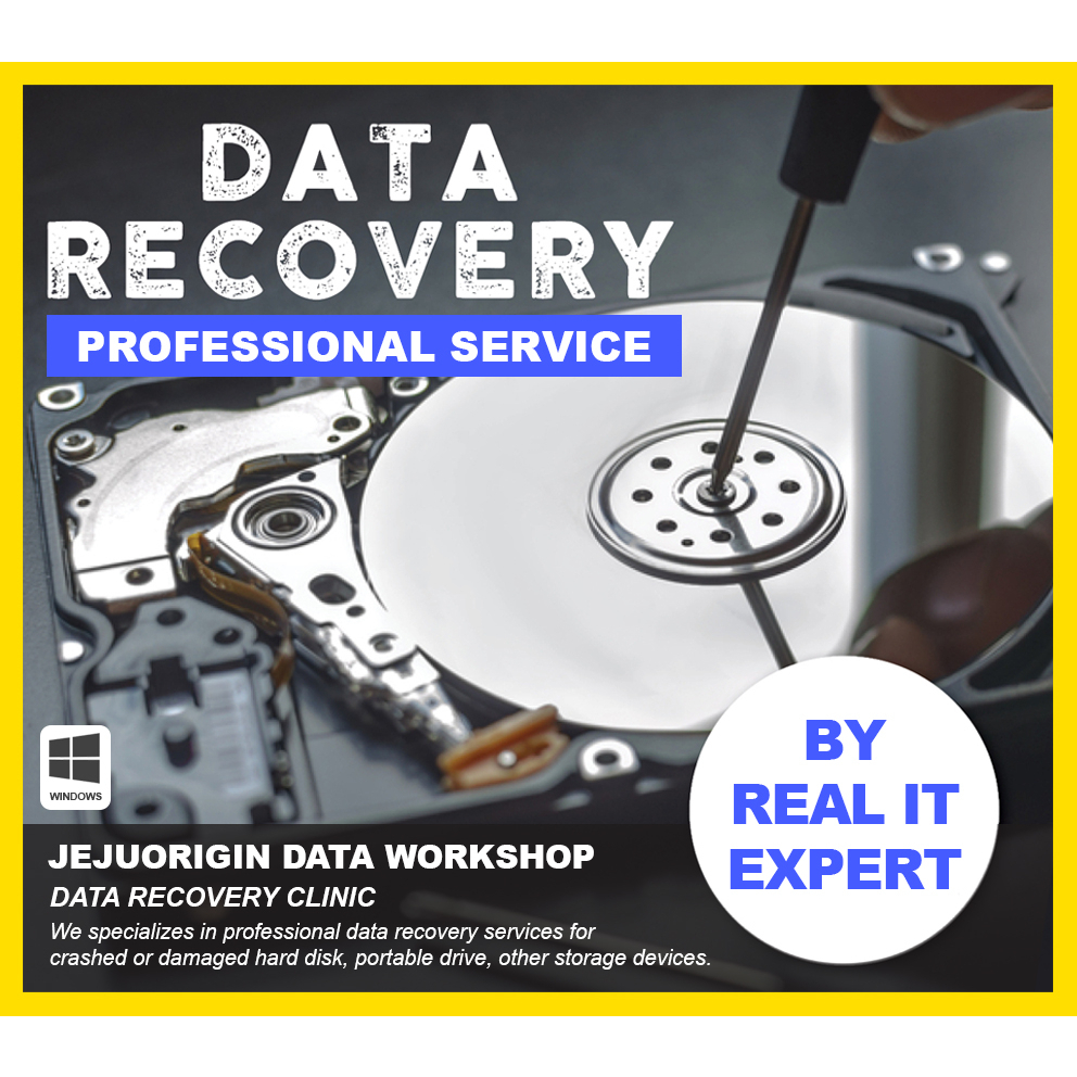 Professional Data Recovery Service