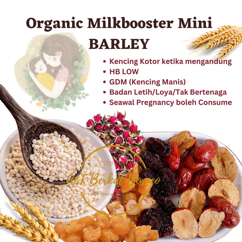 Pek Mini Travel [ADA BARLI] Organic MilkboosterMuslim Seller