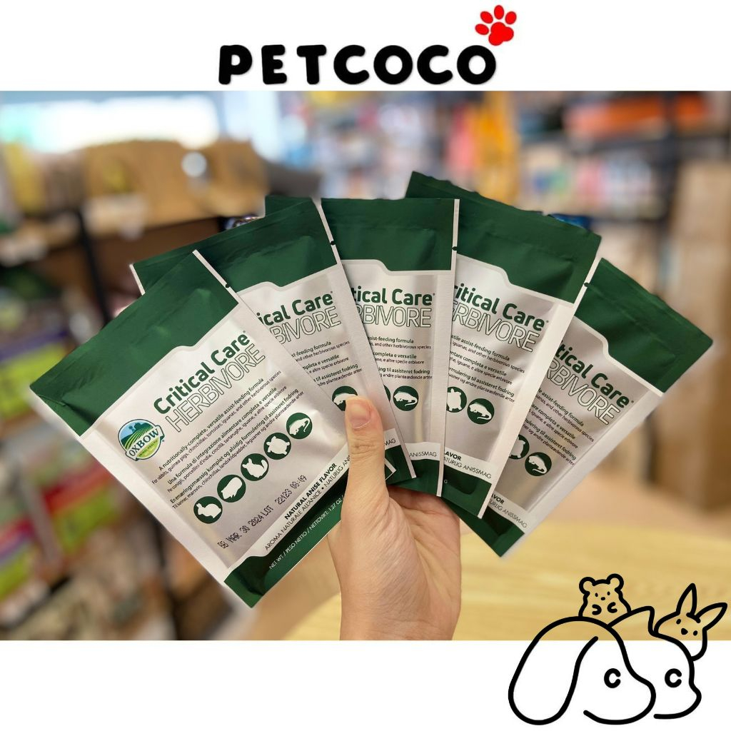 PetCoCo Oxbow Critical Care Herbivore 36g Supplements | 爱宝草粉 急救营养补给