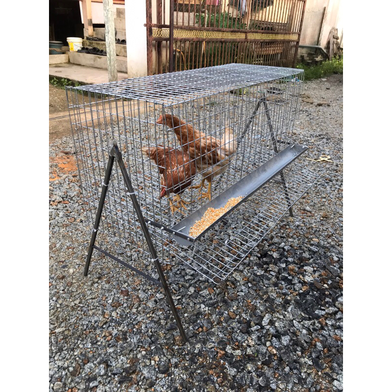 3FT SINGLE LAYER CHICKEN CAGE 6-8 Hens Sangkar Ayam Telur