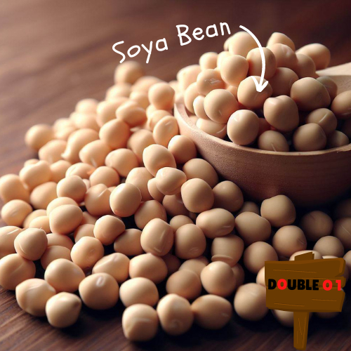 Canada Soya Bean | Kacang Soya Kanada | Soybean | 加拿大黄豆 (250g/1kg)