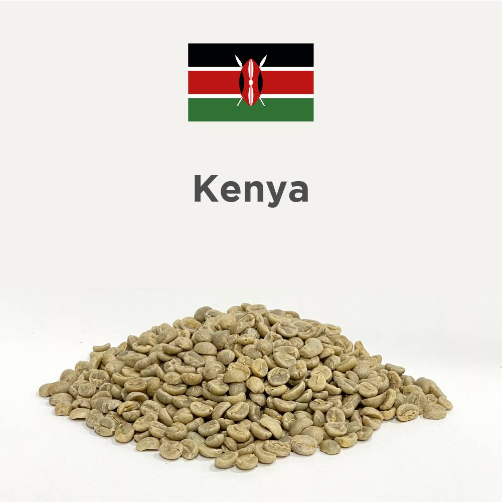 Green Bean (KENYA AA) 200G/500G/1KG