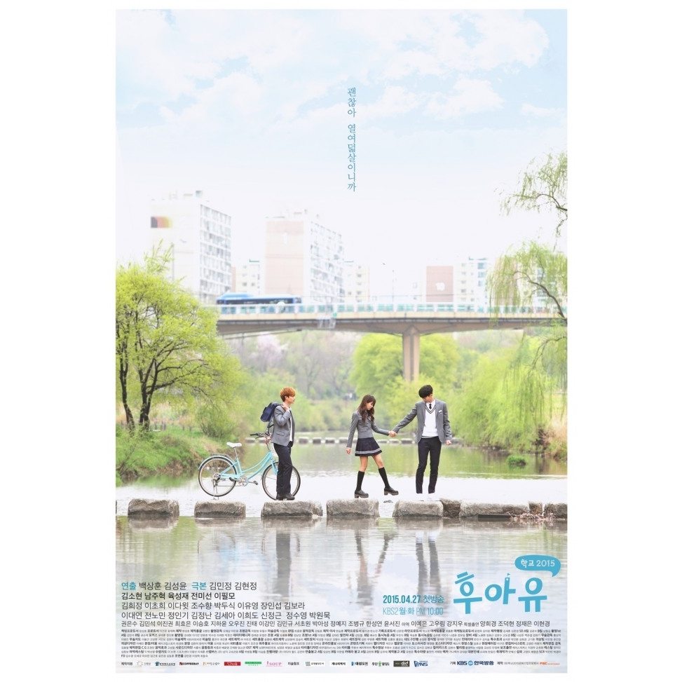 Korean Drama DVD: Who Are You - School 2015 (2015) with 3 Different Subtitles