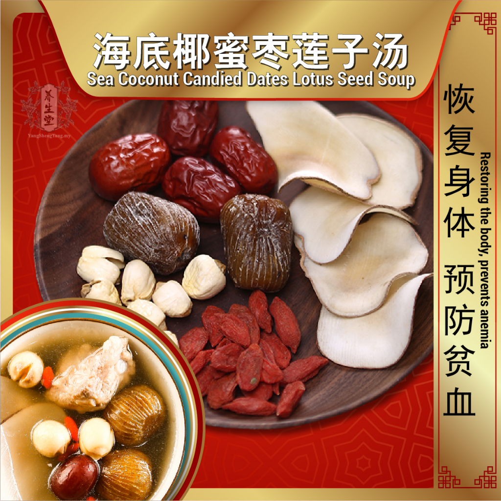 Sea Coconut Candied Dates Lotus Seed Soup Nourish Herbal Soup Pack 海底椰蜜枣莲子汤 止咳化痰药材汤料包 药材包炖汤煲汤补品 Y03