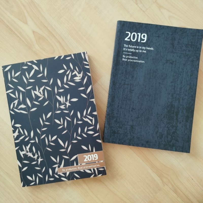 UNUSED 2019 Planner (colorful pages)