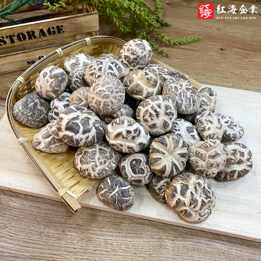 【无硫黄】精选茶花菇 | 白花菇 | 香菇 Dried Mushroom | Dry Mushroom | Sulphur Free | White Flower 天白花菇 | 优质白花菇 | 花菇