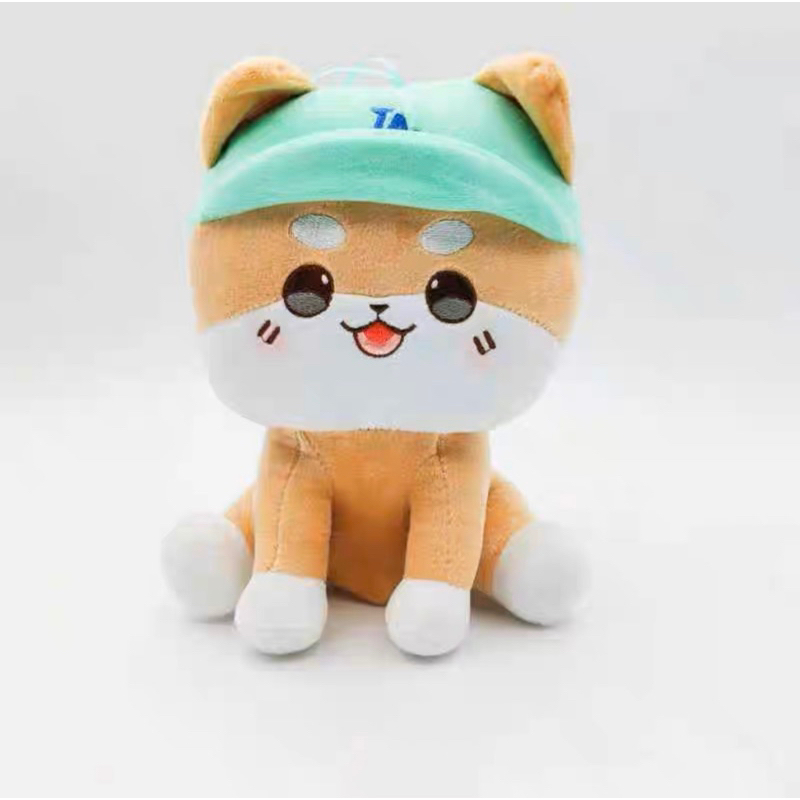 READY STOCKIns cute dog dolls with green hat