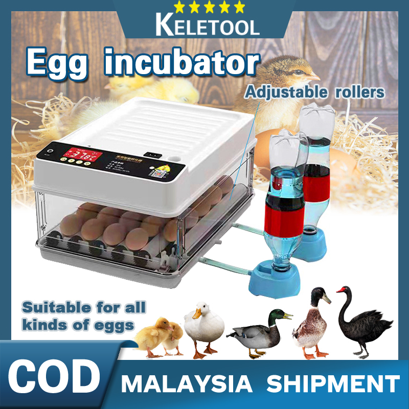 28 egg incubator automatic alat penetas mesin mengeram ram tetas pengeram tempat telur itik ayam angsa goose Hatcher 孵蛋器