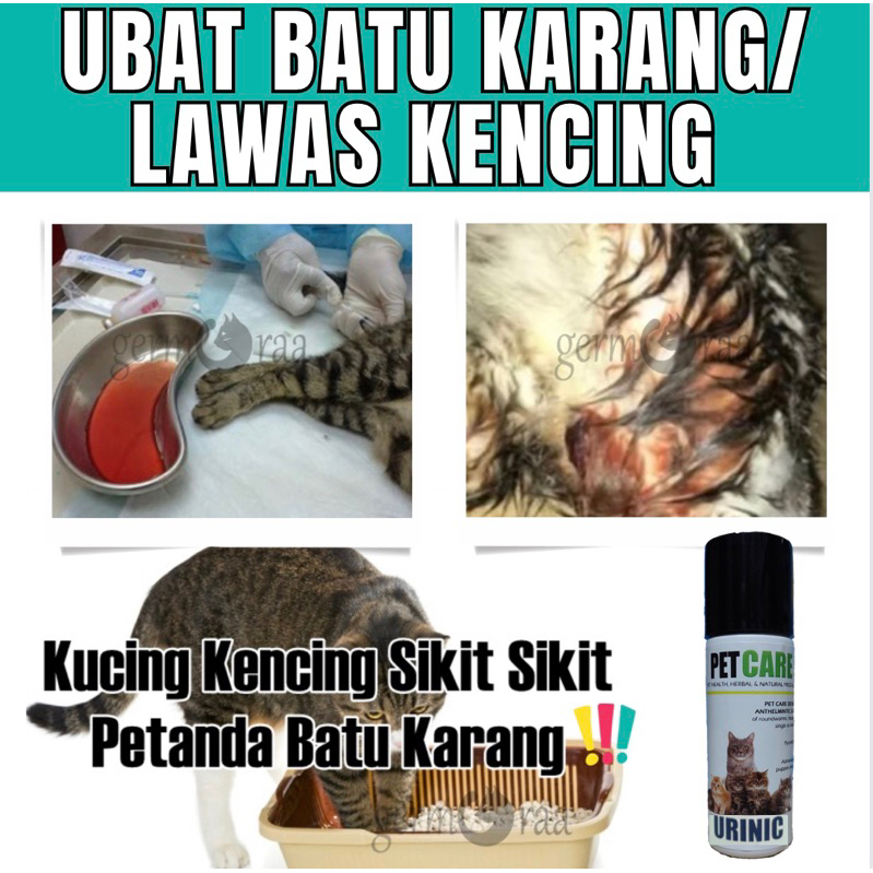 Ubat Batu Karang Kucing / Kencing Tak Lawas / Kidney Stone / Susah Kencing / Kucing Kencing Berdarah Kidney Protective