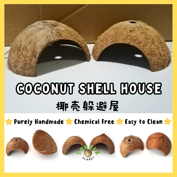 Natural Coconut Shell House Turtle Shelter Turtle Hideout Hermit Crab Hamster Small Pet Cave Coconut Habitat Decor 椰壳躲避