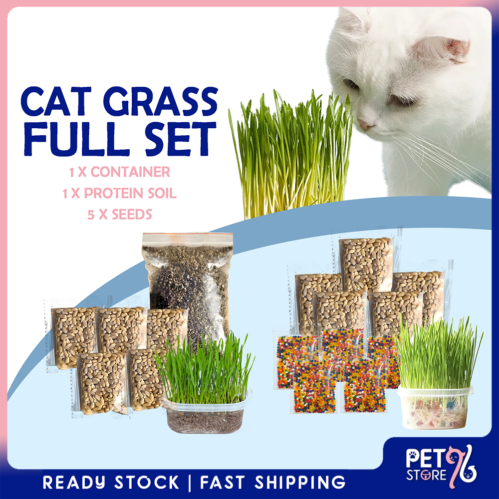 [HEALTHY] Stock Eco-friendly Cat Grass Seed Set Biji Benih Rumput Kucing Pokok Kucing Healthy Cat Food Hairball