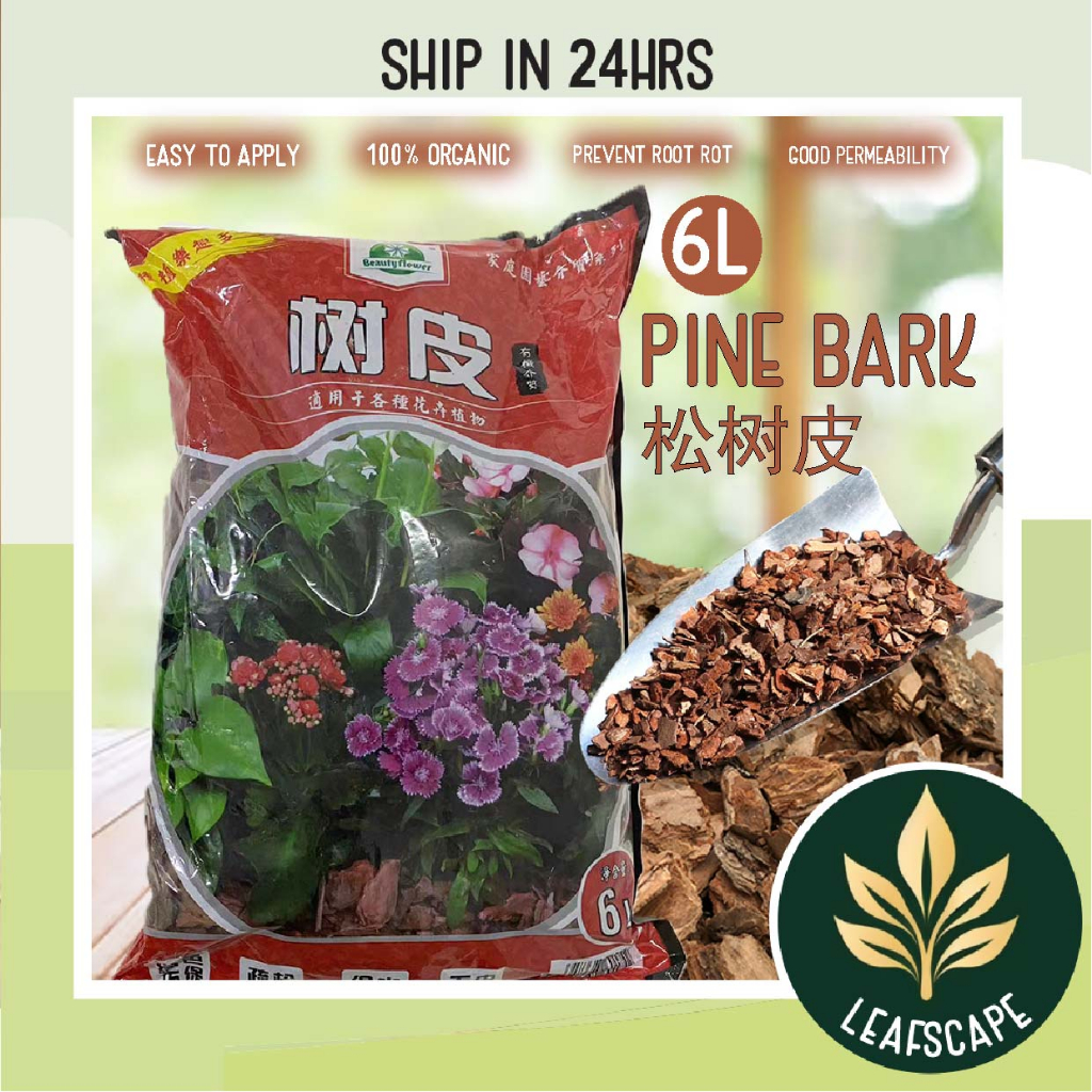 Pine Bark Garden 6Liter± Plant Wood Orchid Natural Pine Wood Chips Turtle Reptile Nuggets Mulch Soil Fertilizer松鳞松树皮多肉胡