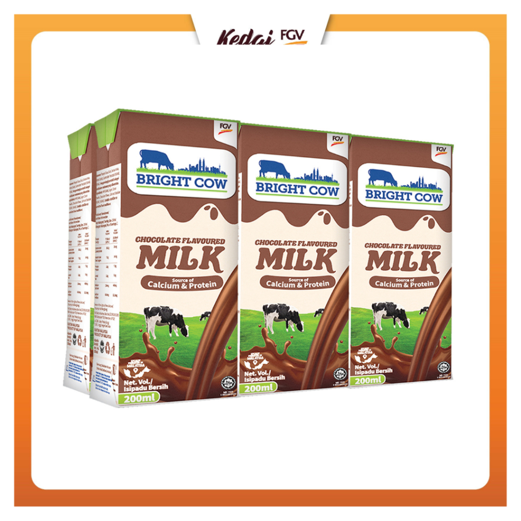 BRIGHT COW Chocolate Flavored UHT Milk 200ml x 6