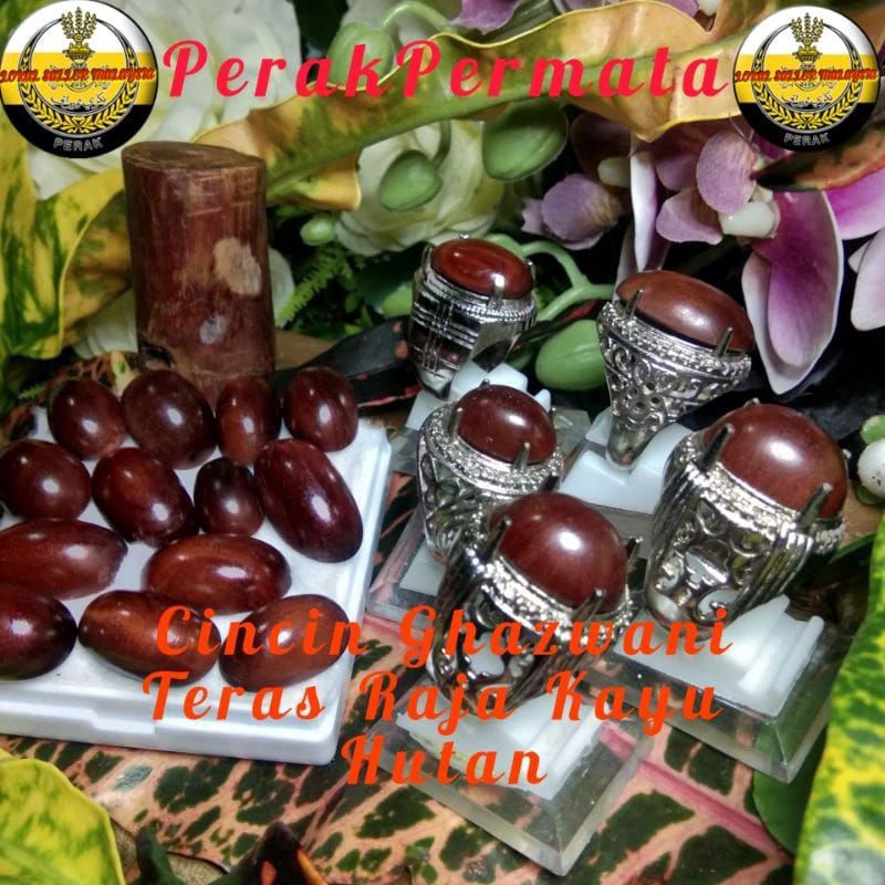Cincin Raja Kayu Hutan "Ghazwani" ikatan Silver Alpaka525 Super chroom harga murah viral terbaru terbaik tercantik