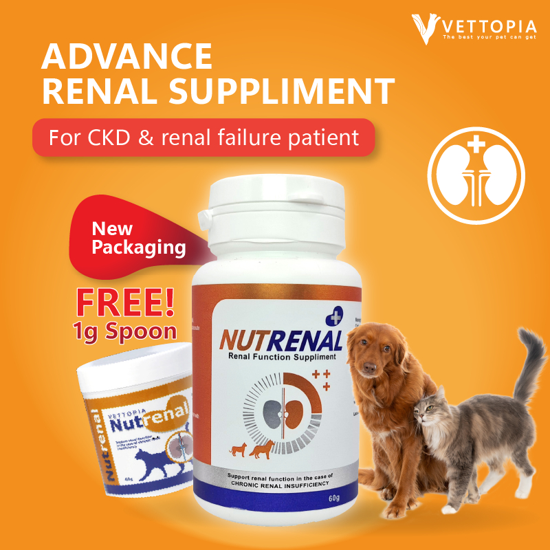 NUTRENAL [Pet Supplement | Boost Immune System | Nourish Renal | Chronic Kidney Failure | Cat | Dog ]