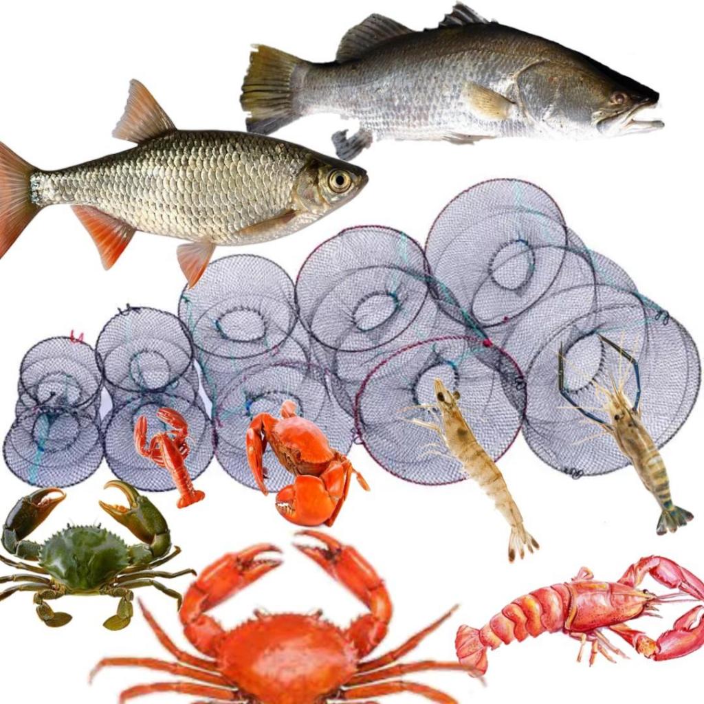 Hot selling circular foldable spring Trap Crab shrimp and fish All Traps / Hot selling circular