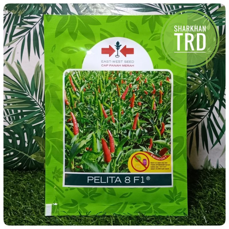 Paket 10g (2250 Biji) PELITA 8 F1 Biji Benih Cili Padi Burung Hybrid Hot Pepper Seeds Panah Merah East West Seed Indon