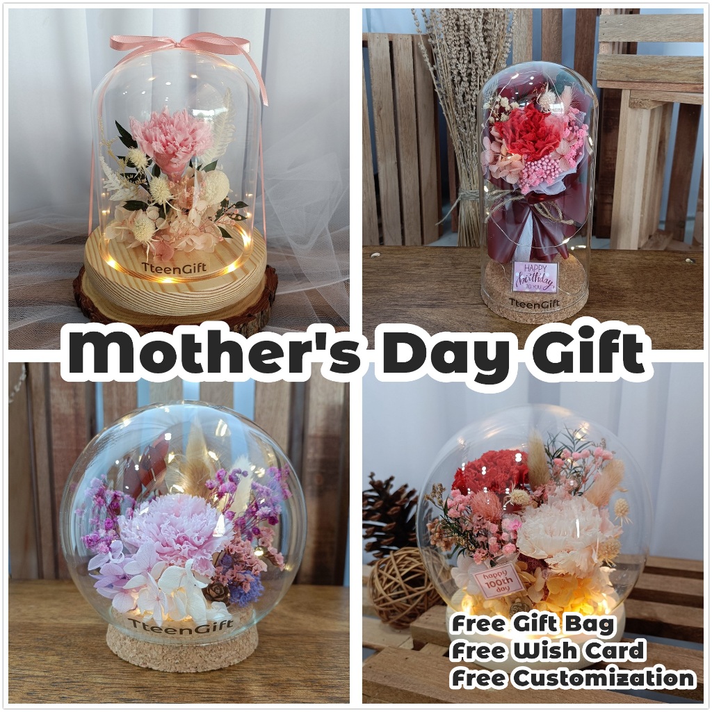 TTEEN GIFT Preserved Flower Carnation Mother's Day Birthday Glass Carnations Gift永生花康乃馨母亲节生日礼品