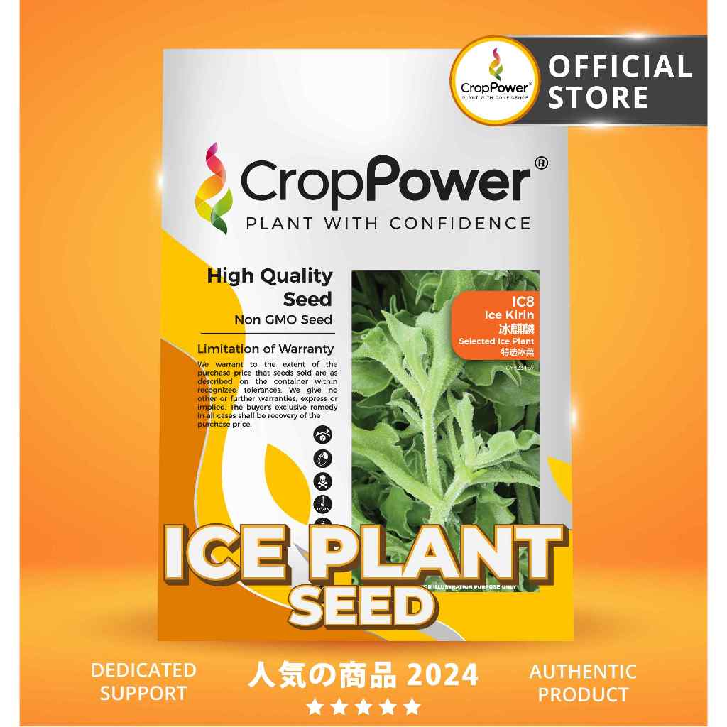 (500 SEEDS) Biji Benih Ice Plant Ice Kirin 冰麒麟 IC8 CROP POWER Ice Plant seeds 冰菜种子 IC 8