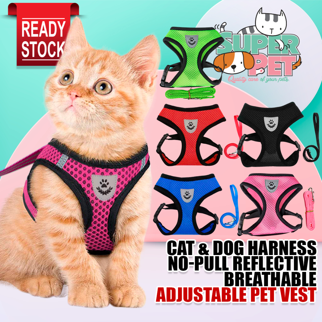 【 Tali Kucing Berjalan MURAH Pet Harness Lead 】 Cat Dog Vest Rope Cat Leash Kolar Rantai Tali Kucing Panjang 宠物牵引绳 猫带 狗带