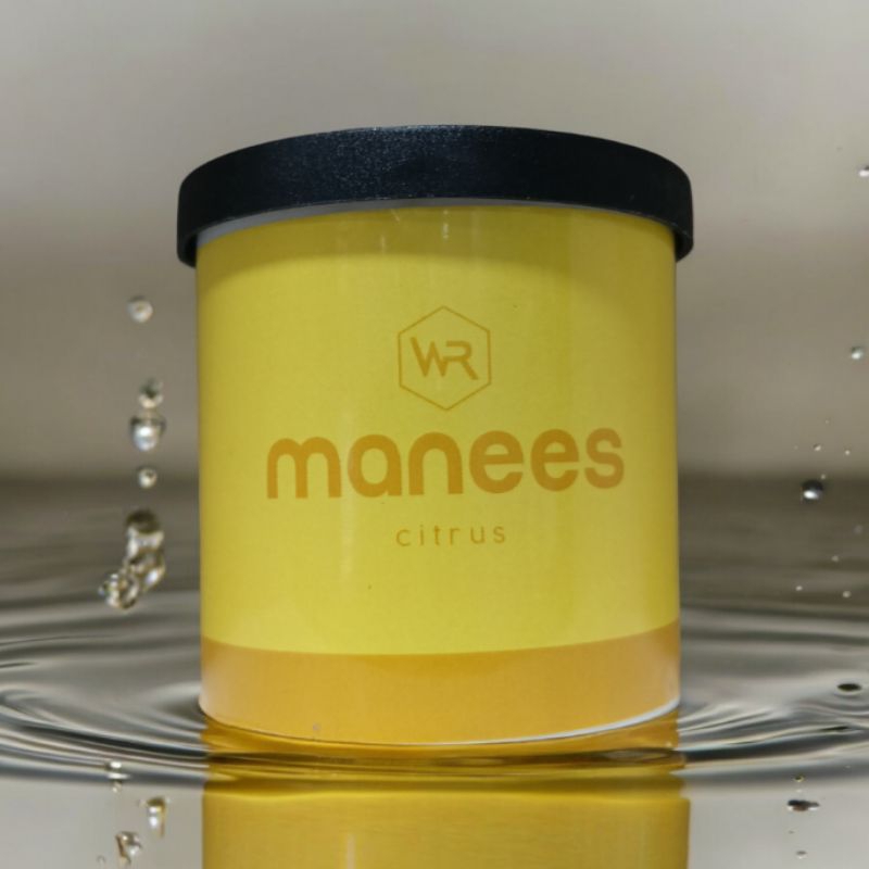 Manees Fibre Wick Air Freshener with Long Lasting Fragrance for Car and Home