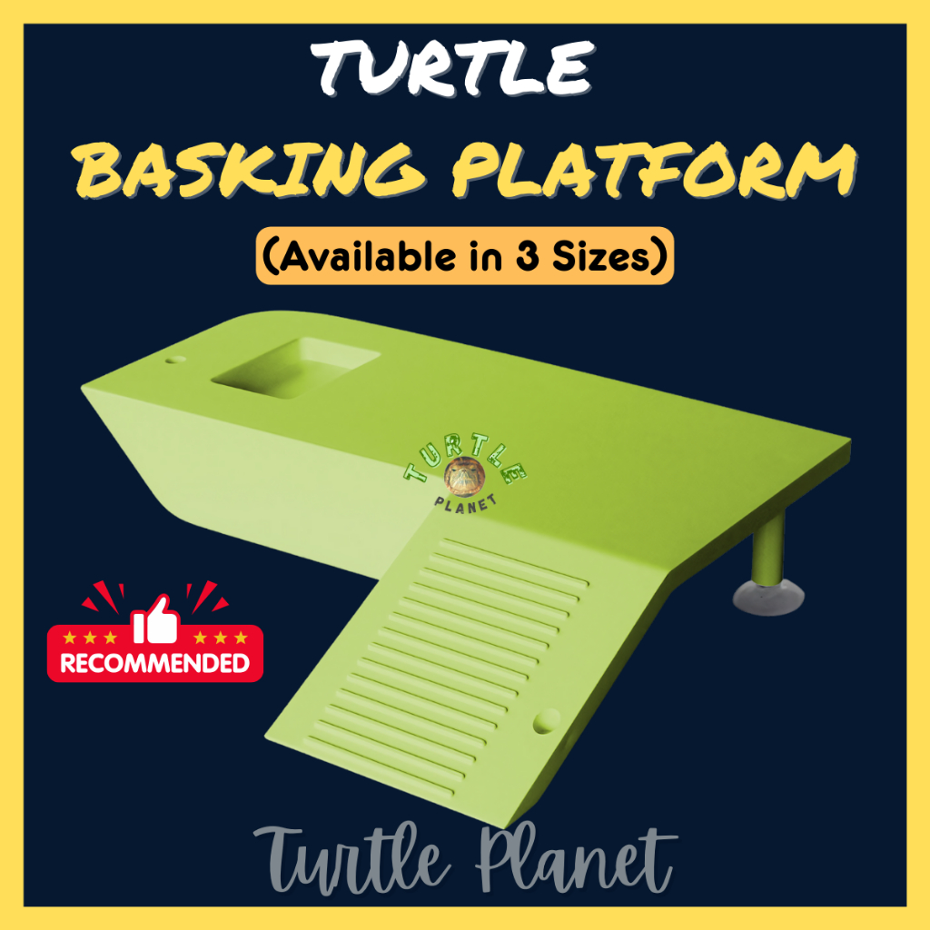 Aquarium turtle basking platform floating island reptile habitat with ramp turtle tank (Green)