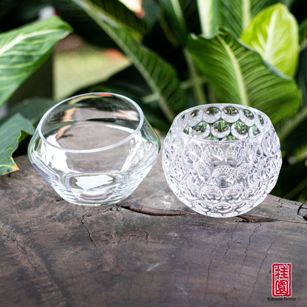 Glass Flower Pot 全透明玻璃花盆