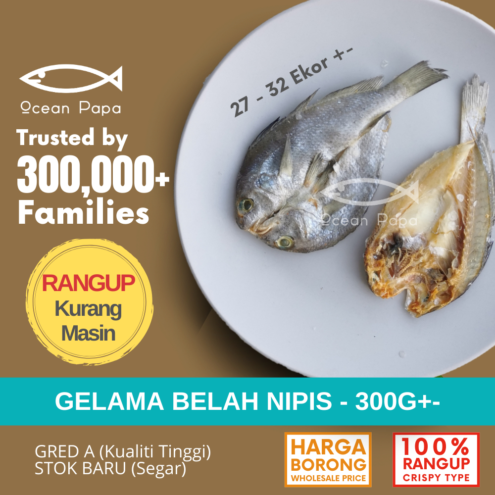 Ocean Papa Ikan Masin Gelama Belah Nipis Gred A (300g) / Salted Fish