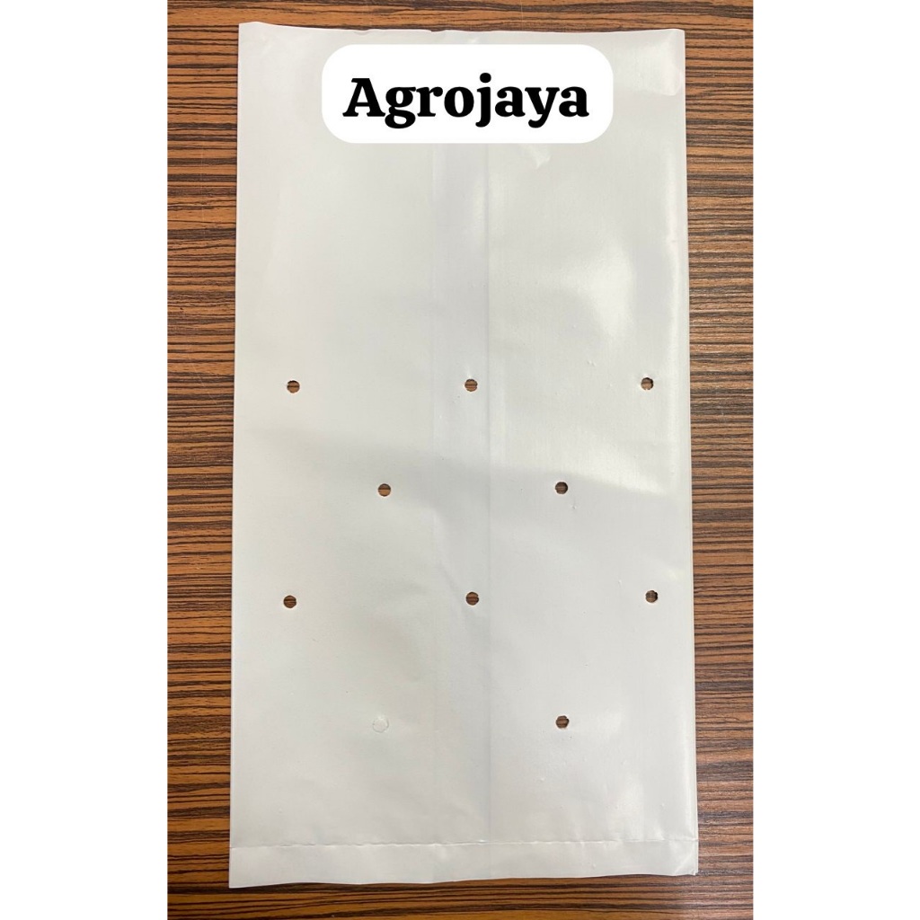 POLYBAG WHITE 15X15/POLIBEG PUTIH 15X15 (400gm 9"pcs) / (1KG 24"PCS agak)