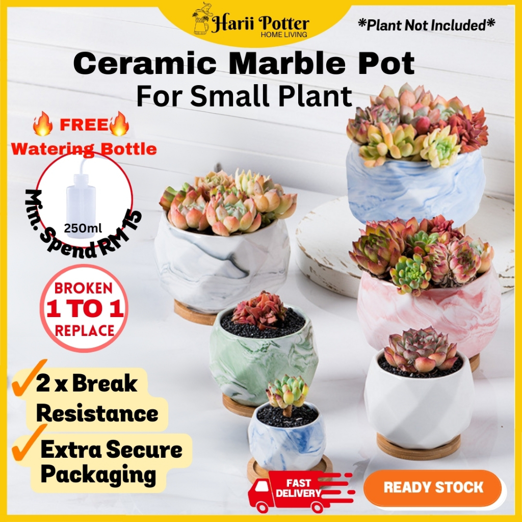 Aesthetic Ceramic Pot Marble Series Faceted Colorful For Succulent Small Plant Pot Cactus 陶瓷花盆 Pasu Bunga Kaktus Seramik