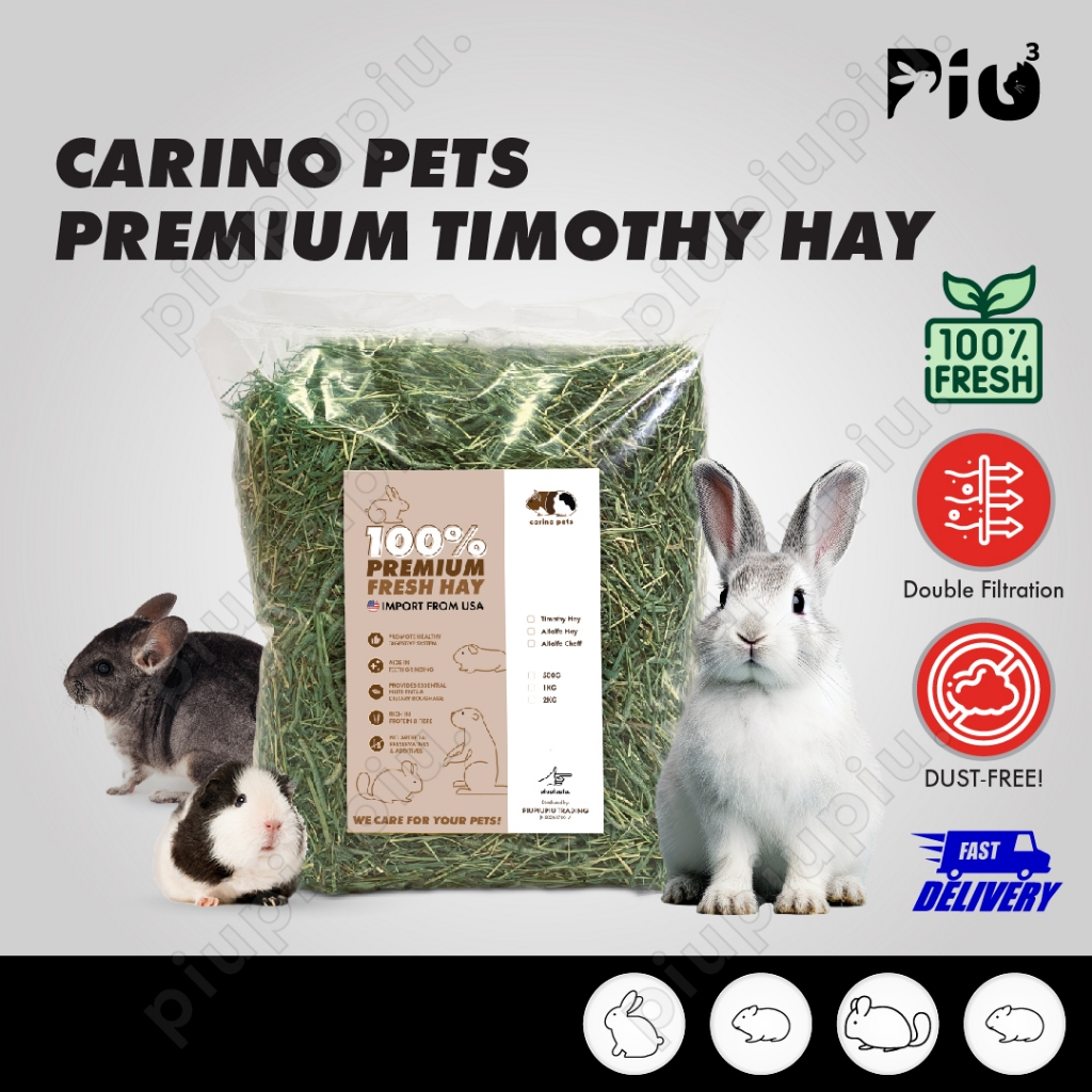 [24HR SHIP] PREMIUM SOFT TIMOTHY HAY SINGLE COMPRESS Imported Alfalfa Lucerne Rabbit Guinea Pig Chinchilla Food 兔子 天竺鼠 牧