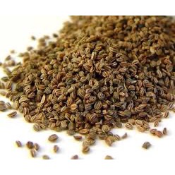 ajwain KHURASANI seed black henbana semen biji alin (Hyoscyamus Niger) 天仙子 tian xian zi devil’s eye Fetid stinking night