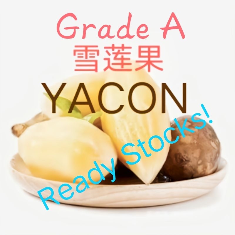 Organik (1kgGred A ) UBI Yacon Menghasilkan Cameron Highlands,Organic (1kgGrade A ) UBI Yacon Produce Cameron Highlands