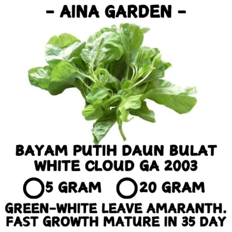 HSK [5gram/20gram] BAYAM PUTIH DAUN BULAT | WHITE AMARANTH SEED | WHITE CLOUD GA 2003 | BIJI BENIH SAYUR